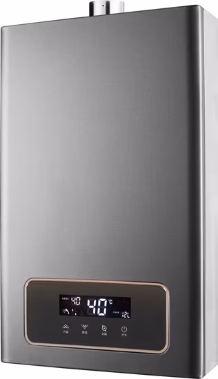 Fábrica de China OEM Venta al por mayor Tipo de chimenea Venta caliente Electrodomésticos 6L 10L 12L 16L 20L Calentador de agua caliente de gas natural GLP instantáneo sin tanque para ducha Aprobación CE.